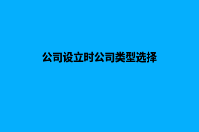 设立公司的类型有哪几种可选(公司设立时公司类型选择)