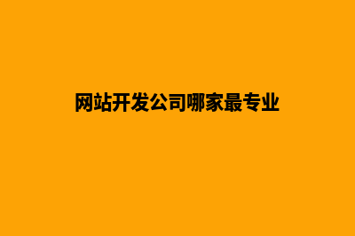 做网站开发的公司哪家好(网站开发公司哪家最专业)