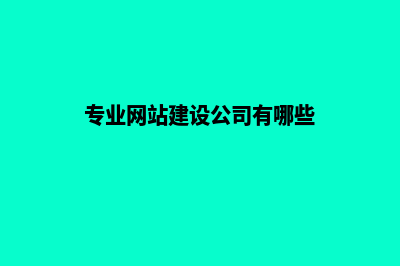 专业网站建设公司该怎么选择(专业网站建设公司有哪些)