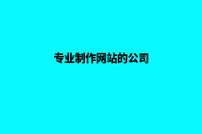 专业制作网站的公司哪家好(专业制作网站的公司)