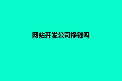网站开发公司哪家好(网站开发公司挣钱吗)