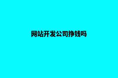 网站开发工资一般多少(网站开发公司挣钱吗)