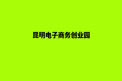 昆明电子商务网站开发(昆明电子商务创业园)