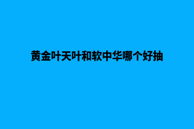 黄冈网站优化(黄金叶天叶和软中华哪个好抽)