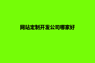 定制网站开发公司有哪些(网站定制开发公司哪家好)