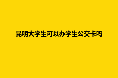 大学生昆明注册公司(昆明大学生可以办学生公交卡吗)