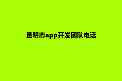昆明app电商开发(昆明市app开发团队电话)