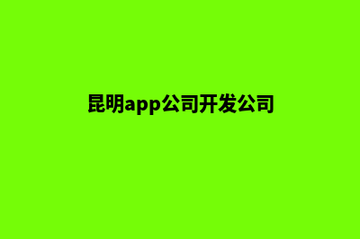 昆明app公司开发(昆明app公司开发公司)