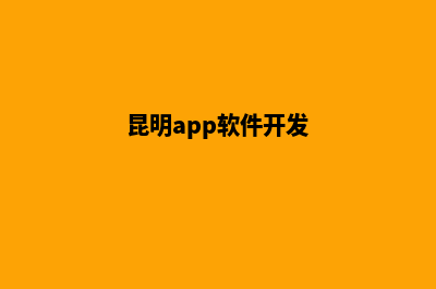 昆明app开发外包(昆明app软件开发)