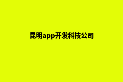 昆明app手机开发(昆明app开发科技公司)