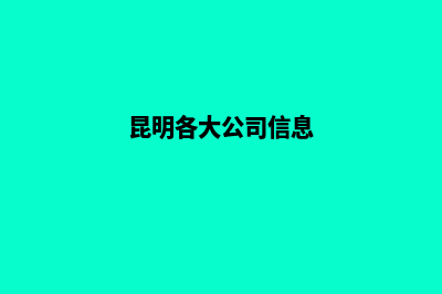 昆明公司的网站建设公司(昆明各大公司信息)