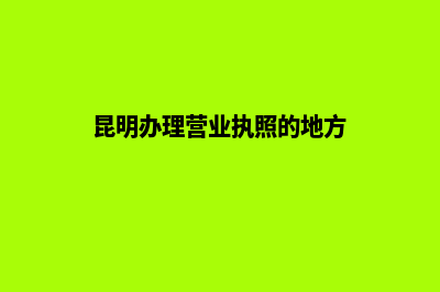 昆明办理营业执照资料(昆明办理营业执照的地方)