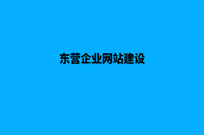 东营网站开发(东营企业网站建设)