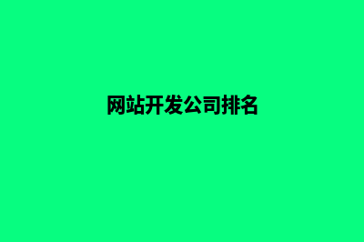 高端网站开发公司(网站开发公司排名)