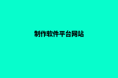 软件制作网站(制作软件平台网站)
