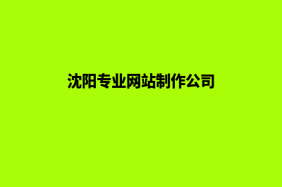 沈阳网站定制公司(沈阳专业网站制作公司)