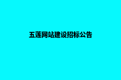 五莲网站建设(五莲网站建设招标公告)