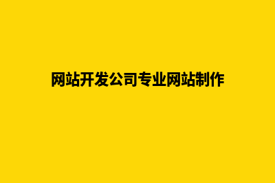 网站开发的公司(网站开发公司专业网站制作)
