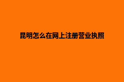 昆明如何网站开发(昆明怎么在网上注册营业执照)