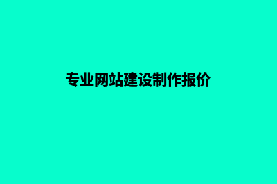 专业网站建设(专业网站建设制作报价)
