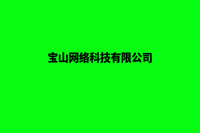 宝山网站建设(宝山网络科技有限公司)