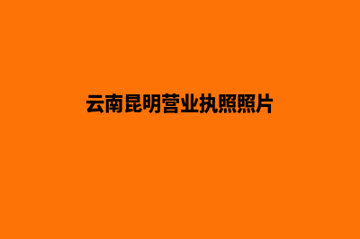 昆明营业执照的办理(云南昆明营业执照照片)