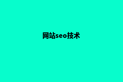 专业SEO网站建设，让您在竞争中立于不败之地(网站seo技术)