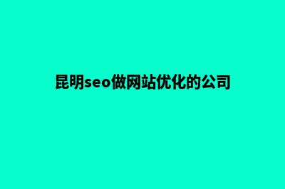 昆明seo做网站优化(昆明seo做网站优化的公司)