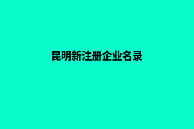 昆明企业新建网站流程(昆明新注册企业名录)