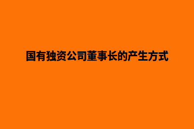 国有独资公司(国有独资公司董事长的产生方式)