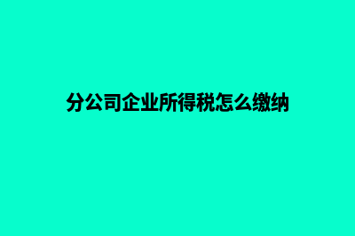 分公司(分公司企业所得税怎么缴纳)