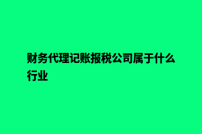 财务代理记账(财务代理记账报税公司属于什么行业)