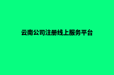 云南公司网站设计费用预算(云南公司注册线上服务平台)
