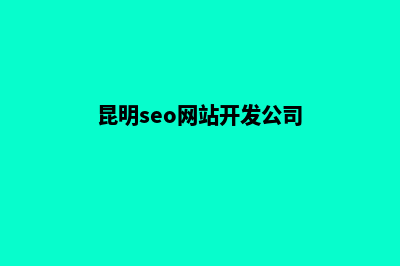 昆明seo网站开发教程(昆明seo网站开发公司)