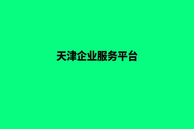 天津企业网站开发公司哪家好(天津企业服务平台)