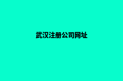 武汉公司网站开发要多少钱(武汉注册公司网址)