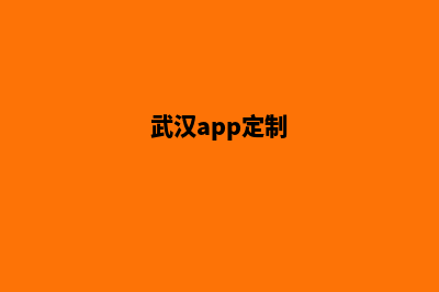 武汉网站定制方案(武汉app定制)