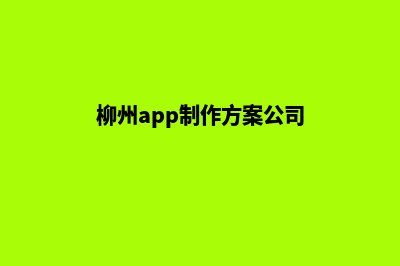 柳州app制作方案(柳州app制作方案公司)