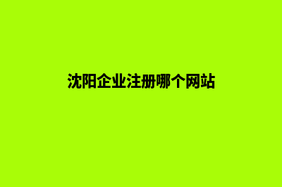 沈阳企业网站开发的步骤(沈阳企业注册哪个网站)