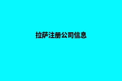 拉萨企业app制作(拉萨注册公司信息)