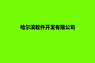 哈尔滨开发app公司(哈尔滨软件开发有限公司)