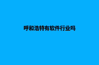 呼和浩特app开发价格(呼和浩特有软件行业吗)