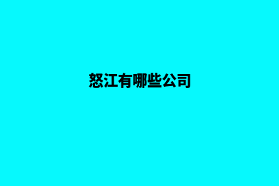 怒江企业制作网页哪家好(怒江有哪些公司)