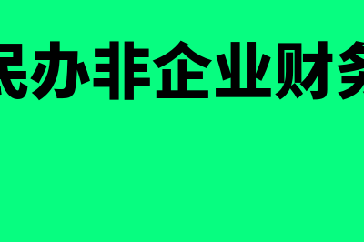 民办非什么财务软件最好用(民办非企业财务)