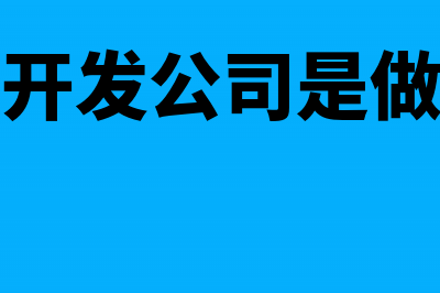 房地产开发公司购财务软件怎么做账(房地产开发公司是做什么的)